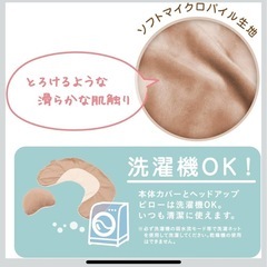 カーメイト(エールベベ)授乳クッションの画像
