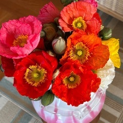 よもぎで足蒸しはじめました🌿 - 美容