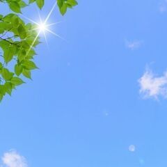  急募‼️ほぼ全員採用❕3ヶ月『固定給65万円』スタート！！
それ以降32万〜60万の営業職。高収入のお仕事大募集‼️【4/30(水)の説明会に出られる方限定❗️ 】の画像
