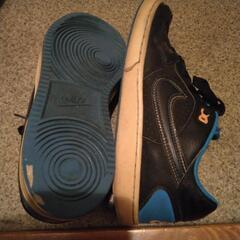 スニーカー       NIKE       靴          ジュースの画像