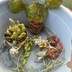 ランキングキーワードに紐づく投稿画像-多肉植物