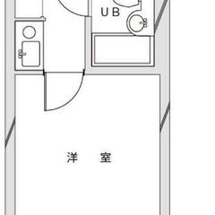 IN🌷即入居可！高級分譲賃貸マンション✨敷金、礼金、仲介手…