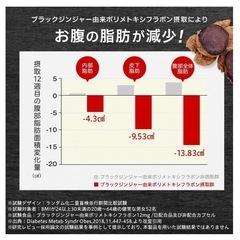 脂肪＆血圧対策トリプル サプリ 機能性表示食品 【新品未開封】の画像