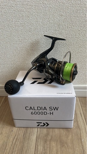 『期間限定価格』DAIWA  【CALDIA SW 6000D-H】