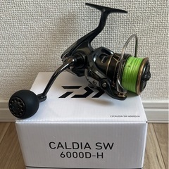 『期間限定価格』DAIWA  【CALDIA SW 6000D-H】