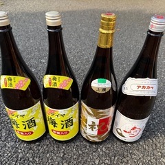 酒　梅酒
