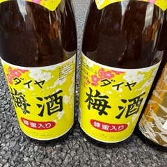 酒　梅酒
の画像
