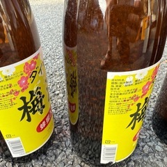 酒　梅酒
の画像