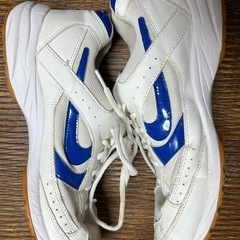 本多聞中学校の体育館シューズの画像