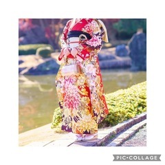振袖一式 （現金取引）の画像