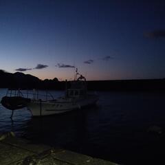 磯釣り　夜釣り渡船　伊豆 - 友達