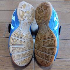 アシックス　室内用運動シューズの画像