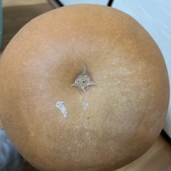 ひょうたん　1の画像