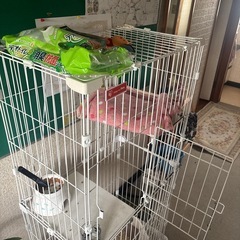 キャットタワーなど猫ちゃんグッズの画像