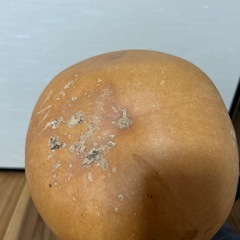 ひょうたん 2の画像