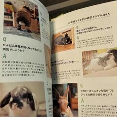 🐰🆕うさぎさんの飼育本📕の画像