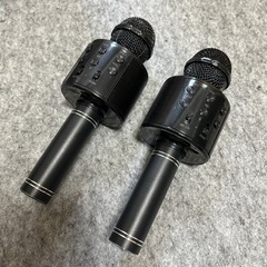 マイク2本