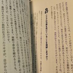🐰🆕うさぎの飼育本📕の画像