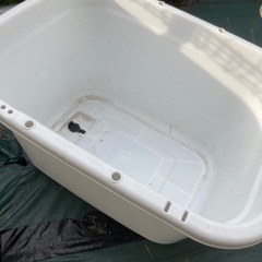 【メダカ】タライ60L（ホワイト）
