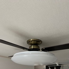 シーリングファンとシーリングライトセット
の画像