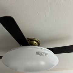 シーリングファンとシーリングライトセット
の画像