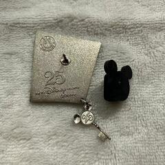 【非売品】ディズニー　25周年記念　限定ピンバッジ　スクルージの画像