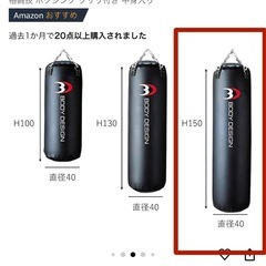サンドバッグ＆スタンド【BODY DESIGN（ボディデザイン）】の画像