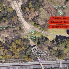 代々木公園で！廣平式太極拳&気功        ウイルスVirusに負けない心と身体のバランスをの画像