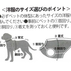 新品タグ付き　M 3-5kg 兼用　クレヨンしんちゃん　ペット用着ぐるみ] ペット用品 ぶりぶりざえもん　犬服　猫服　犬　猫　ペット　動物　トイプードル　シーズー　の画像