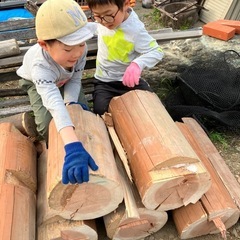 丸太、薪にいかがでしょう？の画像
