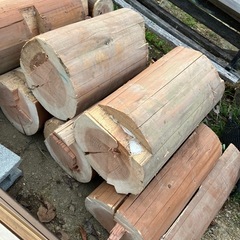 丸太、薪にいかがでしょう？の画像
