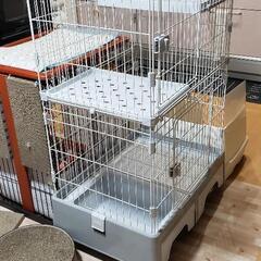 キャットゲージ