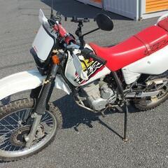 走行距離少　7千km+α　 XLR125R後期モデルの画像