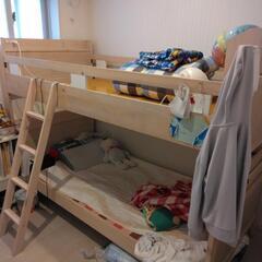 すぐに引き取り可能な方へお譲りします。