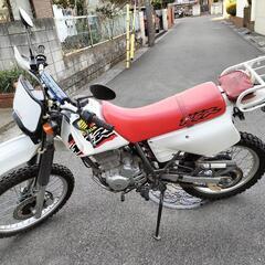走行距離少　7千km+α　 XLR125R後期モデルの画像