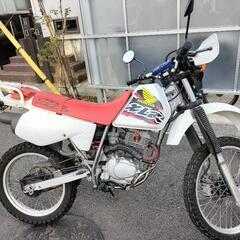走行距離少　7千km+α　 XLR125R後期モデルの画像