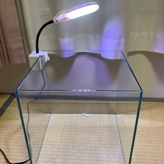 水槽　ガラス　ライト　他