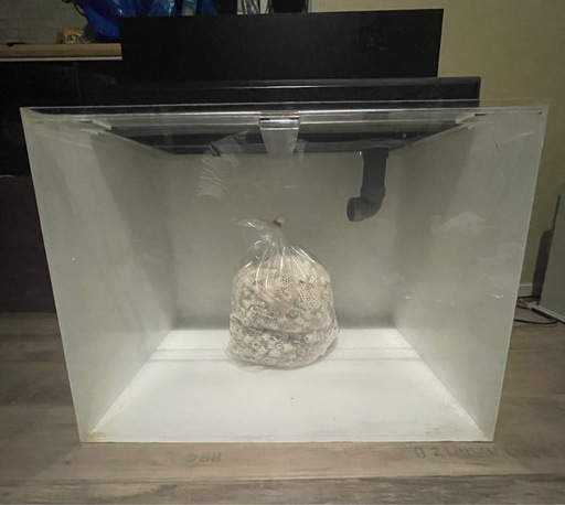 最終値下げ　アクリル水槽600×450×450