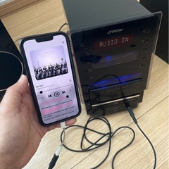 今のご時世需要ないのかな〜？の画像