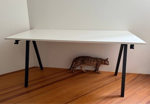 IKEA TROTTEN テーブル