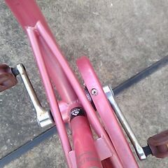 あさひ 　自転車　ガールズ　ラボ　ラブリー　20インチの画像