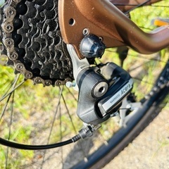 AVIATOR-E LOUIS GARNEAU ルイガノ 電動クロスバイクの画像