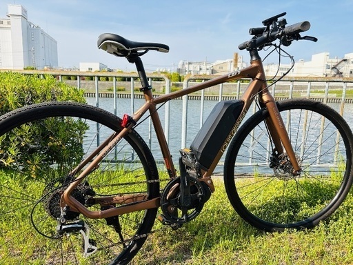 AVIATOR-E LOUIS GARNEAU ルイガノ 電動クロスバイク