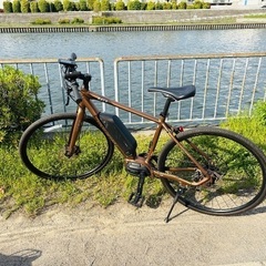 AVIATOR-E LOUIS GARNEAU ルイガノ 電動クロスバイクの画像