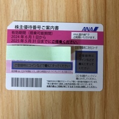 ANA 株主優待券 1枚　有効期限2025年5月31日まで