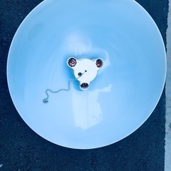 照明器具◼️3灯の画像