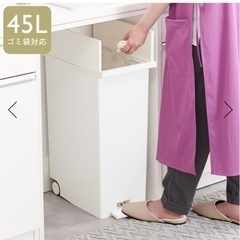 KEYUCA両開きダストボックス 45Lの画像