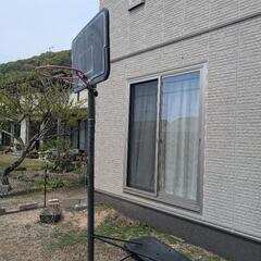 バスケットゴール　【LIFETIME】バスケットゴール  ミニバスから公式サイズまで高さ調節対応 LT-90588

の画像