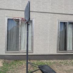 バスケットゴール　【LIFETIME】バスケットゴール  ミニバスから公式サイズまで高さ調節対応 LT-90588

の画像