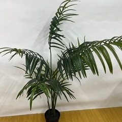 ★IKEA★フェイクグリーン　ケンチャヤシ
